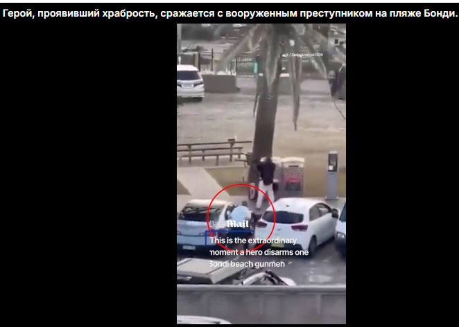 https://i2.imageban.ru/out/2025/12/14/b57699c77456bbe08606651a15007a5e.jpg