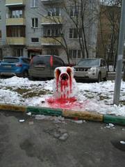 http://images.vfl.ru/ii/1520062580/8eb14ad7/20805160_m.jpg