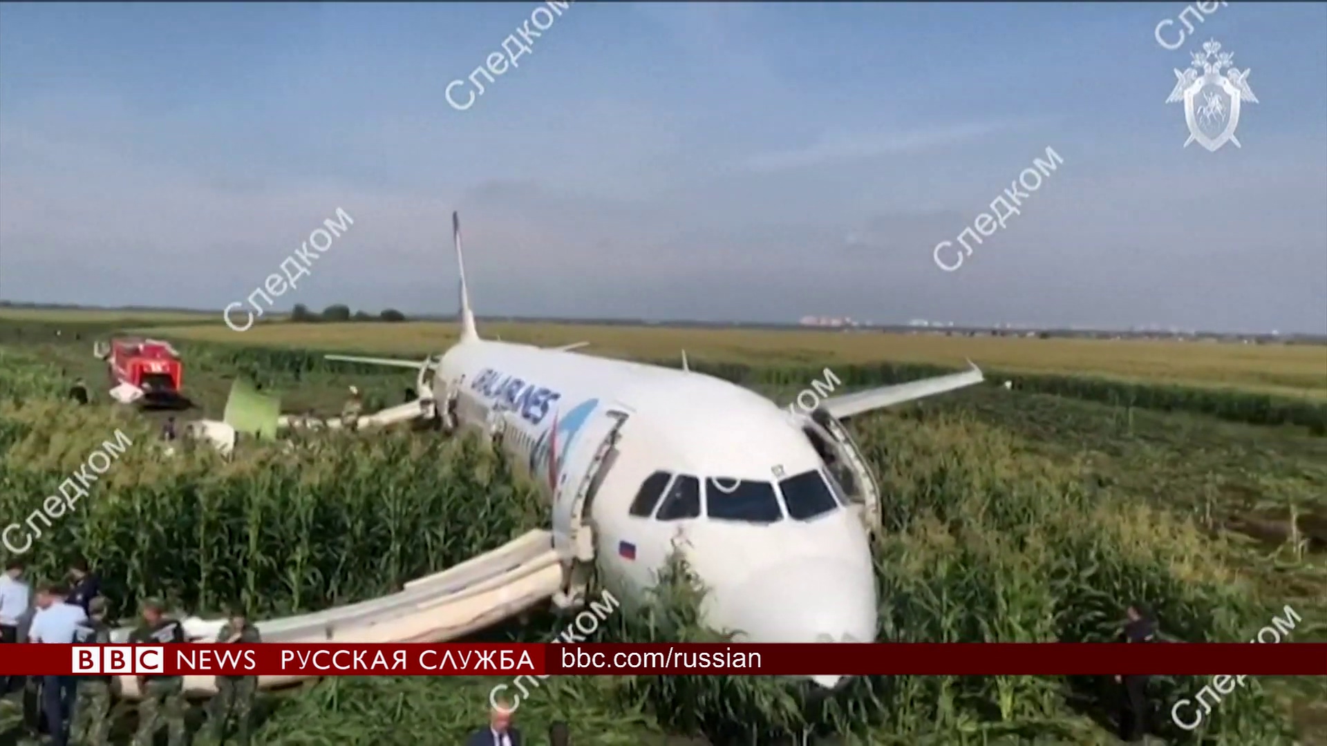 https://i.ibb.co/bzZVsL5/Airbus-A321-mp4-20190818-043616-860.jpg