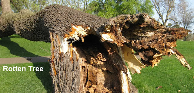 http://images.vfl.ru/ii/1542745226/6c818460/24288142_m.jpg