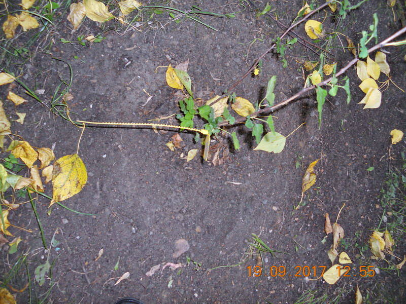 http://images.vfl.ru/ii/1505837334/bf5c9f95/18661526_m.jpg