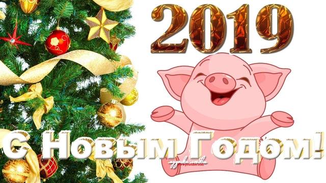 http://images.vfl.ru/ii/1546155575/5e742e72/24772243_m.jpg