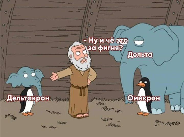 https://i.imgur.com/EX7xozs.jpg