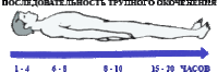 http://images.vfl.ru/ii/1542484036/477a4d77/24244636_s.gif