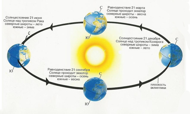 https://i.ibb.co/HBjXZ4V/69ebe903.jpg