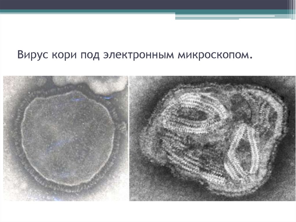 https://cf.ppt-online.org/files/slide/f/FDuS83gROImLWpCxV4XrU7aJHQzes2qA96fKil/slide-4.jpg