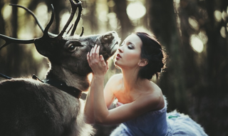 http://images.vfl.ru/ii/1541242375/184d3116/24047226_m.png