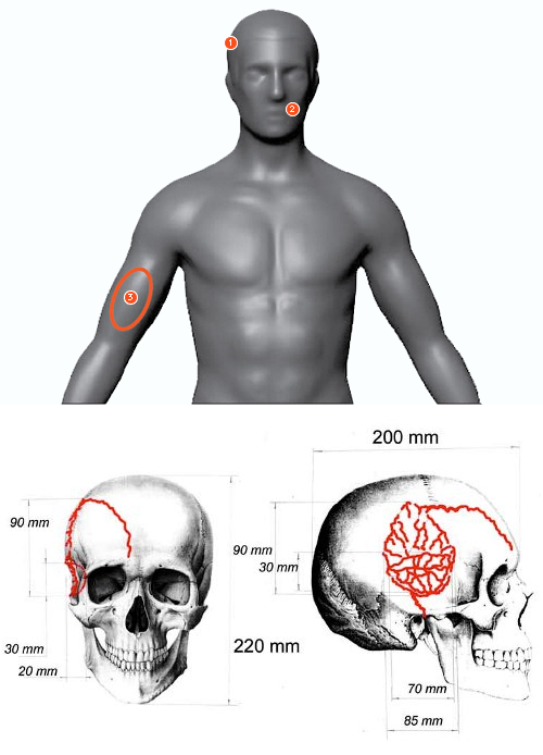 https://dyatlovpass.com/resources/340/Nikolay-Thibeaux-Brignolle-autopsy-report.png
