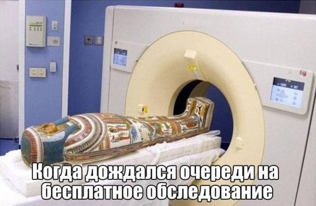 http://images.vfl.ru/ii/1500395509/b561b455/17963579_m.jpg