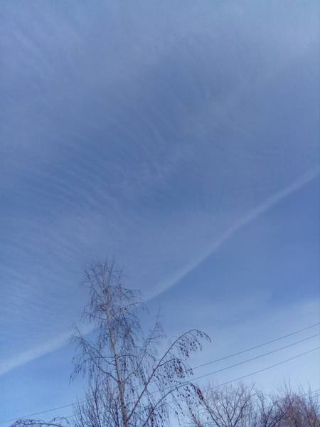 http://images.vfl.ru/ii/1615530785/96625d7d/33645802.jpg