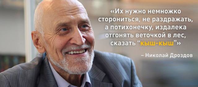 http://images.vfl.ru/ii/1550247965/358417f8/25406564_m.jpg