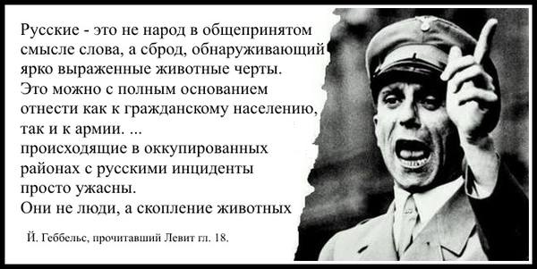 http://images.vfl.ru/ii/1547407776/d78f0175/24940150_m.jpg