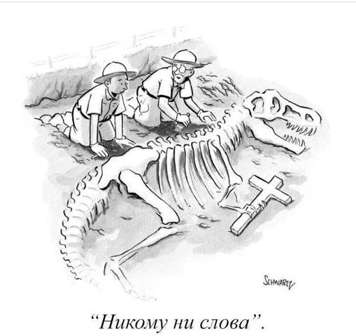 http://images.vfl.ru/ii/1513019492/9e66b6da/19773077_m.jpg