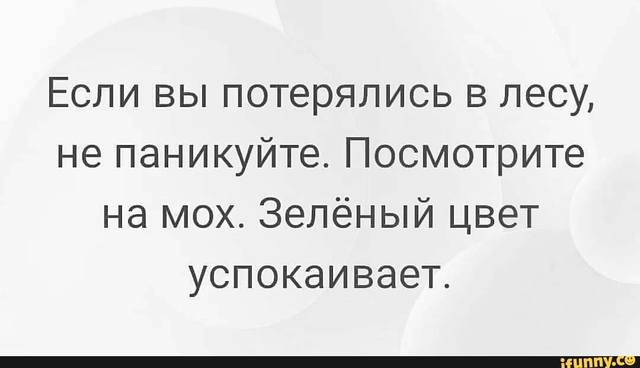 http://images.vfl.ru/ii/1580994824/7eb48fa5/29462664_m.jpg