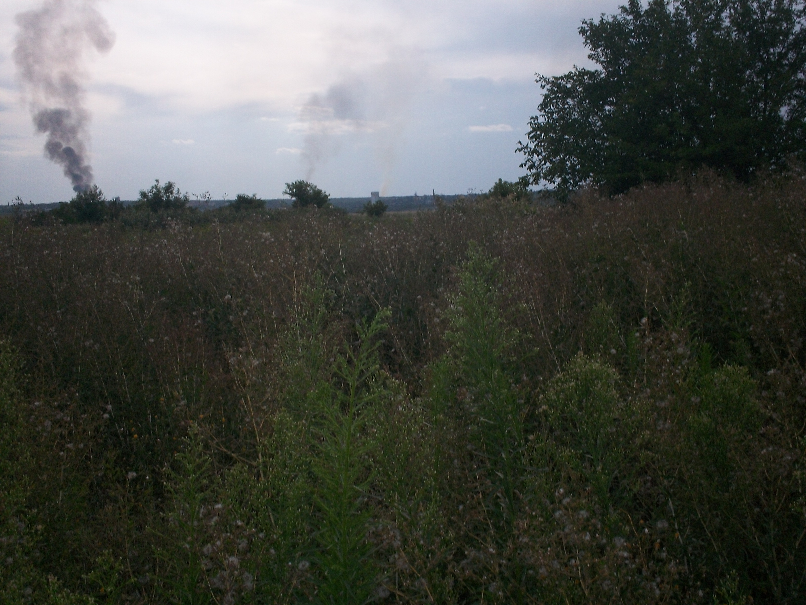 http://images.vfl.ru/ii/1406054115/c8fe55b0/5778124.jpg
