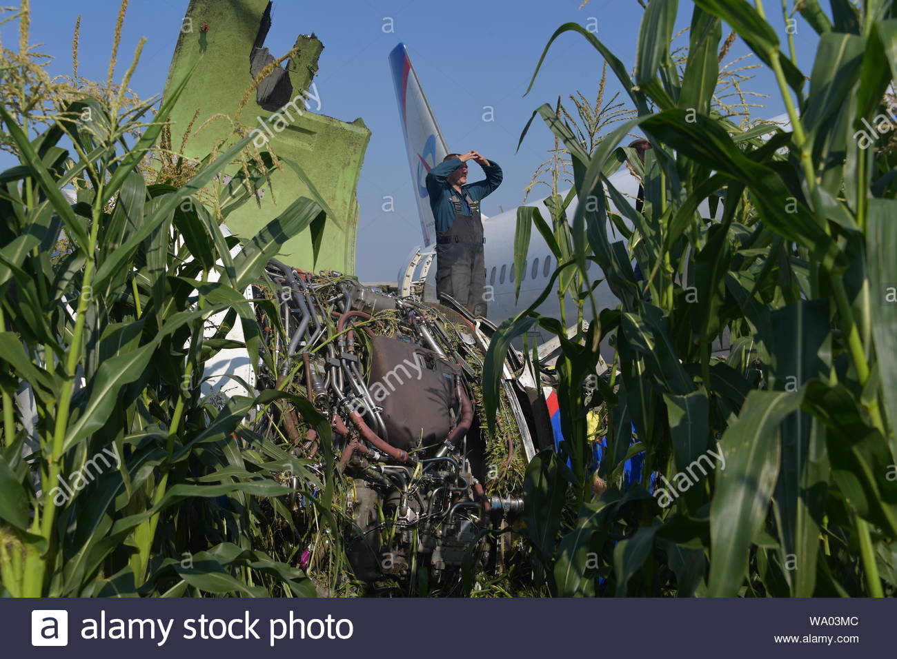 http://images.vfl.ru/ii/1566756518/9b5d289c/27655468.jpg