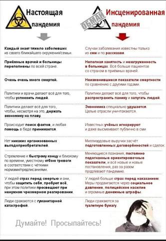 http://images.vfl.ru/ii/1606554910/a78b9759/32468367_m.jpg