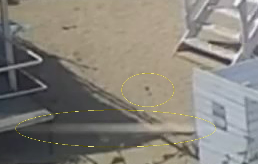 https://live.staticflickr.com/65535/53827695833_829861108d_o.jpg