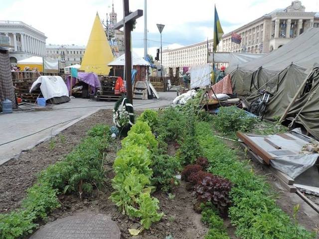 http://images.vfl.ru/ii/1592155266/ec6e5aa8/30806684.jpg