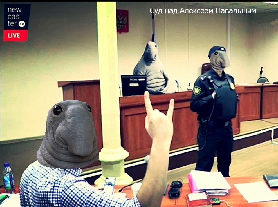 http://images.vfl.ru/ii/1495736450/b6d42eb1/17349738.jpg