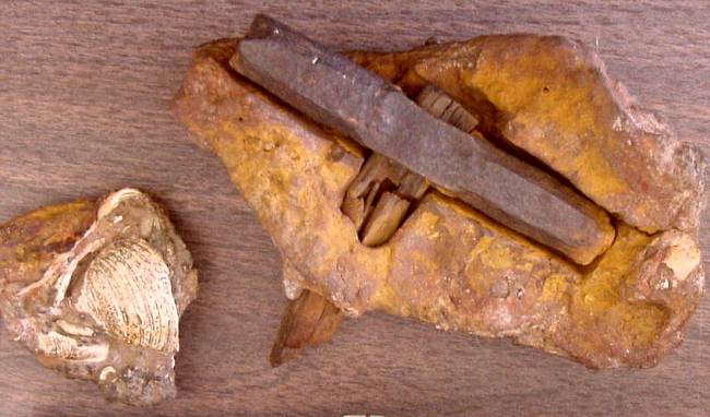 http://paranormal-news.ru/_nw/97/s40228588.jpg