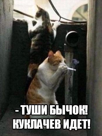 http://s00.yaplakal.com/pics/pics_preview/1/2/5/9468521.jpg