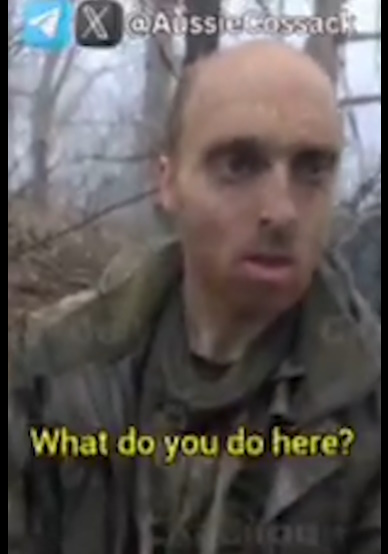 https://i5.imageban.ru/out/2025/01/16/7666fbf8bdeed5009d4202c7fd785587.jpg