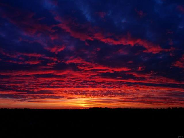 http://images.vfl.ru/ii/1553928358/2ccea26e/25980527_m.jpg