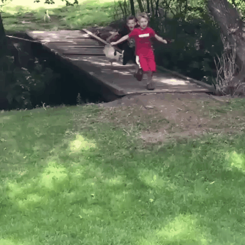 https://cs11.pikabu.ru/post_img/2019/08/20/4/1566279301142924249.gif
