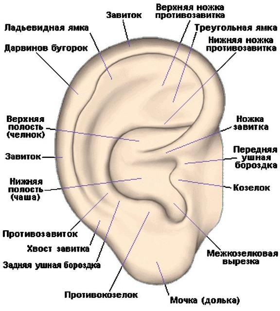 https://i.ibb.co/whBC4J1/2R1Dq.jpg
