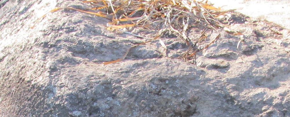 http://images.vfl.ru/ii/1497470384/bd025844/17575128.jpg