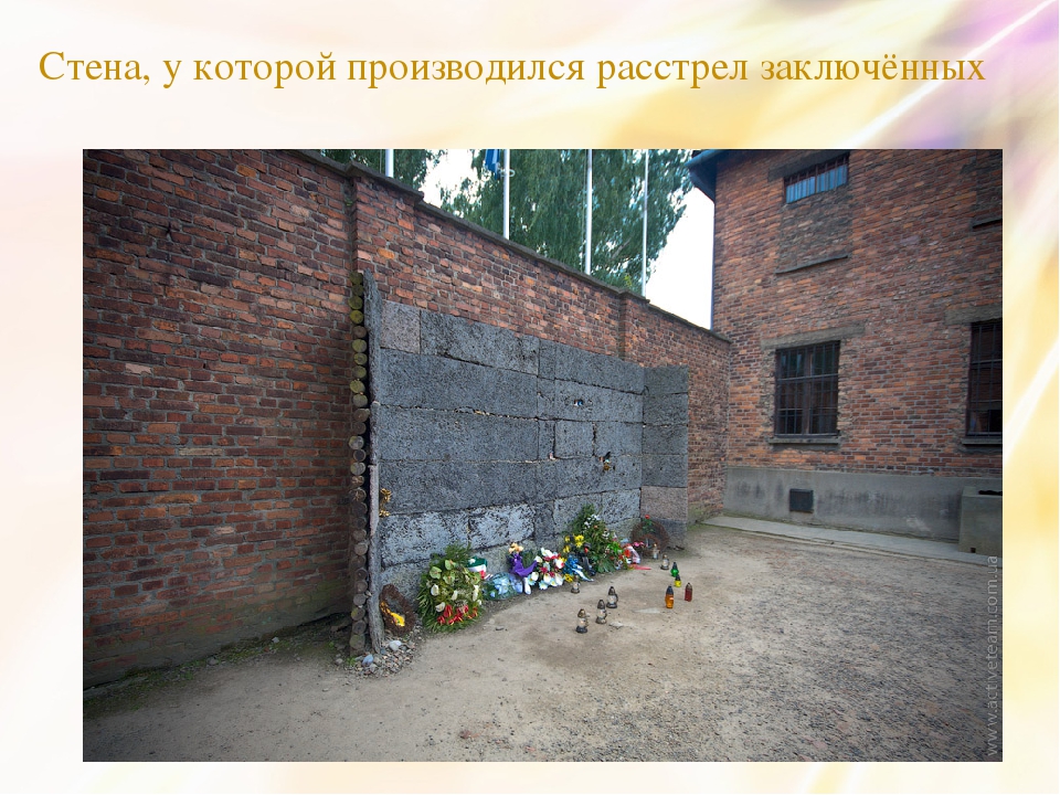 https://ds04.infourok.ru/uploads/ex/0463/000163f2-e617ca2a/2/img12.jpg
