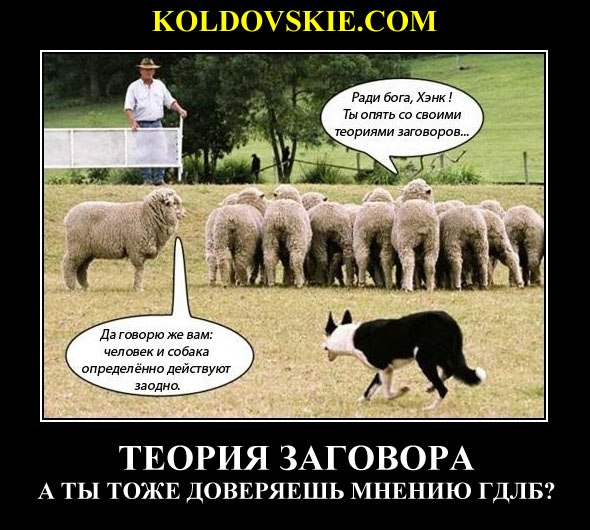 http://images.vfl.ru/ii/1546426663/24a22648/24796404.jpg