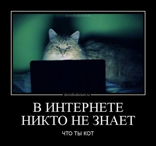 http://images.vfl.ru/ii/1493500528/b48f28d8/17047068_m.jpg