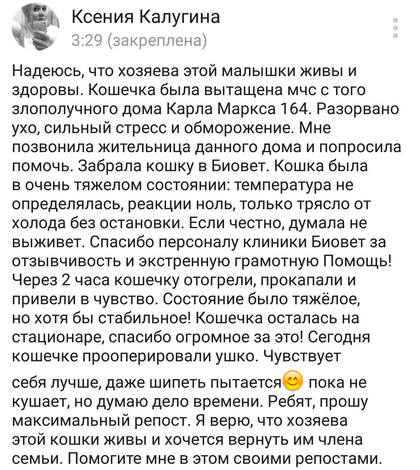 http://images.vfl.ru/ii/1546429569/300d7d82/24796831_m.jpg