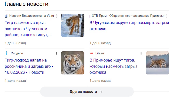 https://i3.imageban.ru/out/2026/02/17/02f5395b3b5476483004c8dddc83f4ca.jpg