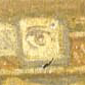 https://i.ibb.co/pjCBN6K/39-F7-E6-F0-8-EBF-4504-B259-A467907-CB315.jpg