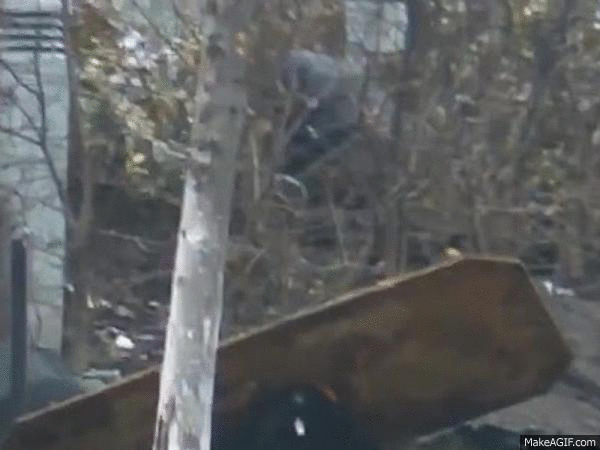 http://images.vfl.ru/ii/1492754545/c791cc11/16936984.gif