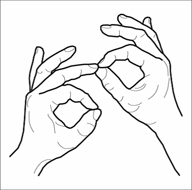 https://i.pinimg.com/originals/b4/d2/01/b4d201323e522261d8532e494d516cc8.png
