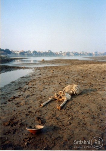 http://images.vfl.ru/ii/1413565313/876b30a8/6673930.jpg