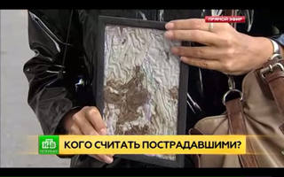 http://images.vfl.ru/ii/1500824606/8a0f6a70/18010455_m.jpg