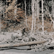 https://i.ibb.co/qMPQq3w0/22.jpg