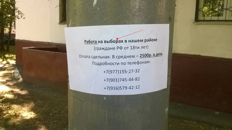 http://images.vfl.ru/ii/1560454609/3458a1bc/26879449.jpg