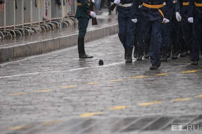 http://images.vfl.ru/ii/1525870245/2ecf5ca4/21674669.jpg