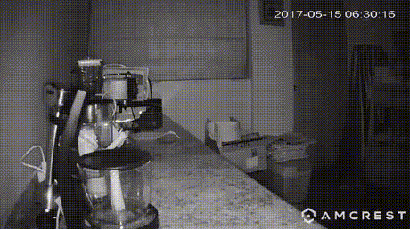 http://www.yapfiles.ru/files/1696424/IMG_5262.gif