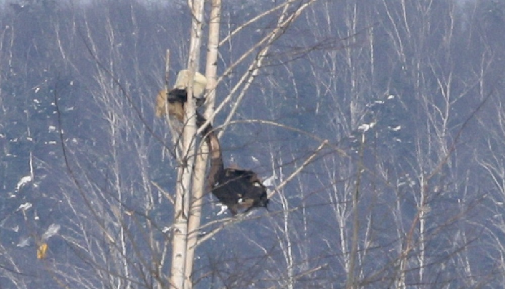 http://images.vfl.ru/ii/1518969335/13759152/20639158.jpg