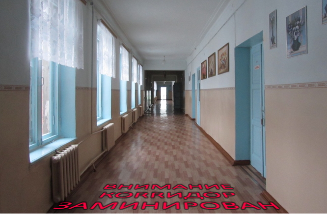 http://images.vfl.ru/ii/1620968162/13e36d6f/34446413.jpg