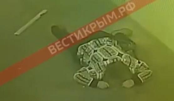 http://images.vfl.ru/ii/1543867603/8b4685f4/24461092_m.jpg
