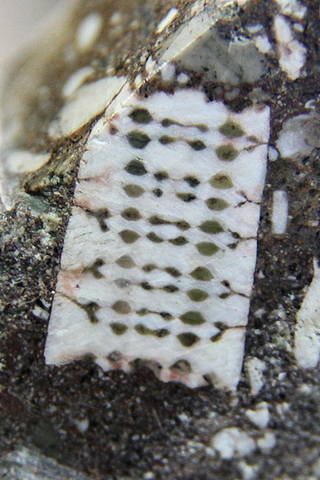 http://images.vfl.ru/ii/1534756199/77268a3c/22963649_m.jpg