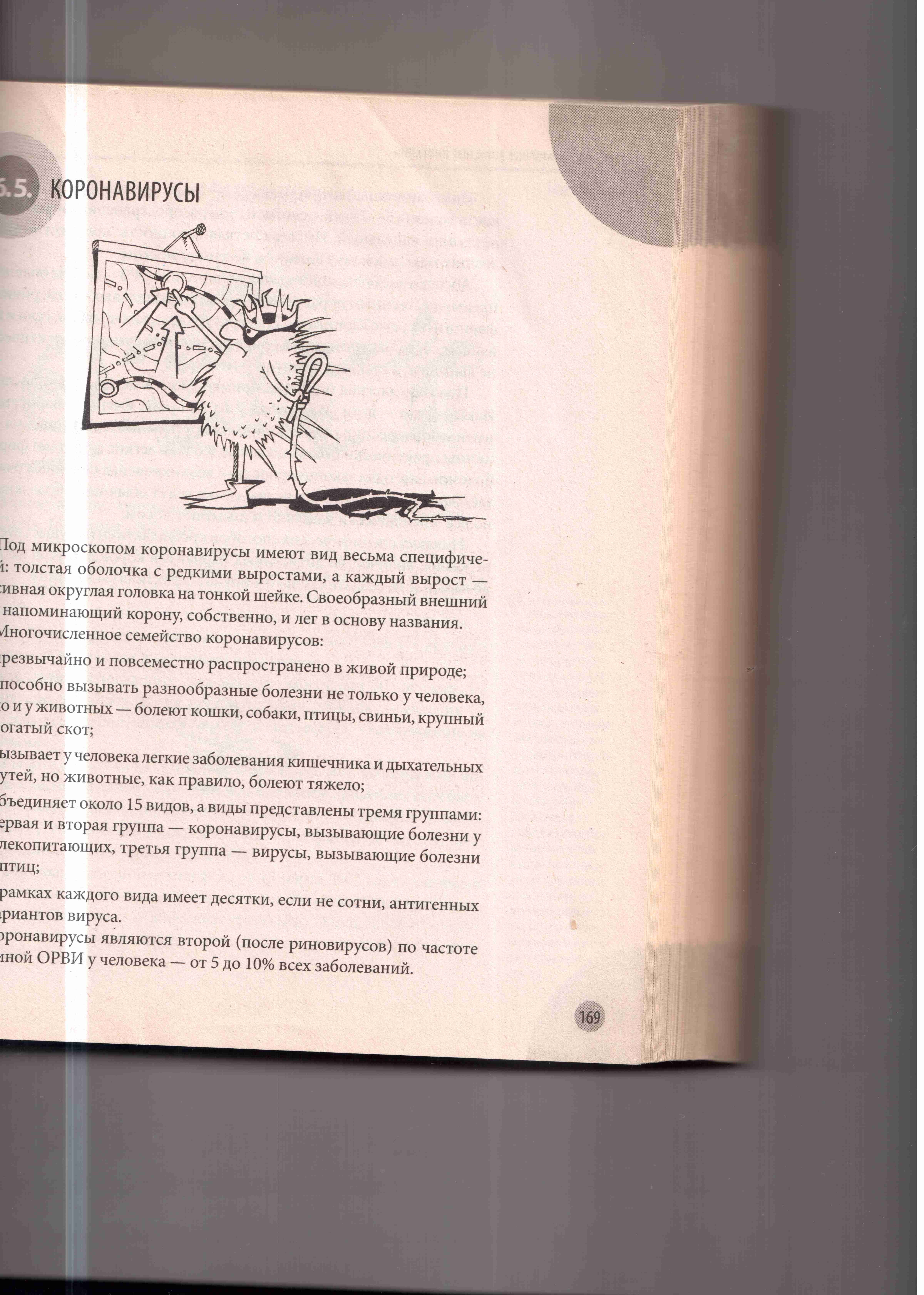 http://images.vfl.ru/ii/1583228944/c140fff0/29762188.jpg